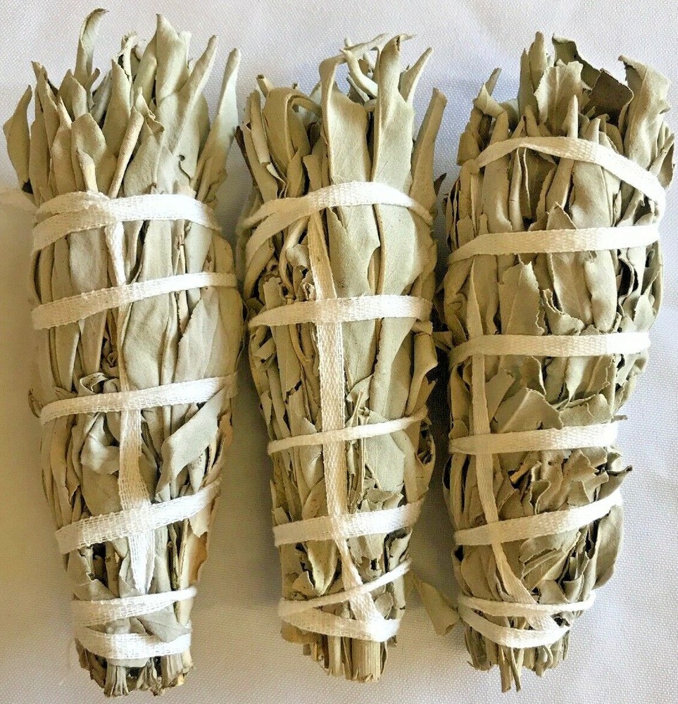 White Sage Smudge Stick 4" - 5" 3 Pack (Herb, House Cleansing, Smudge Bundle)