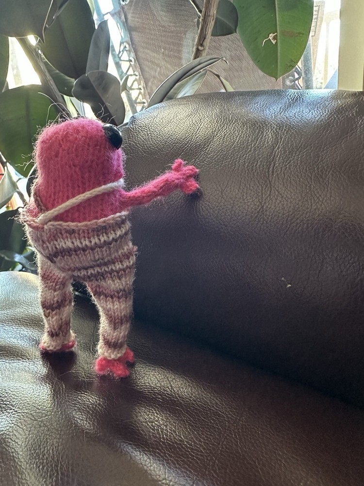 Knitted Frogy