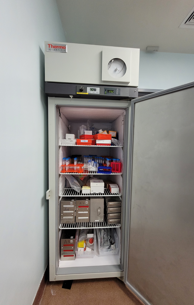 Thermo Scientific UGL2320A19 -20 Freezer