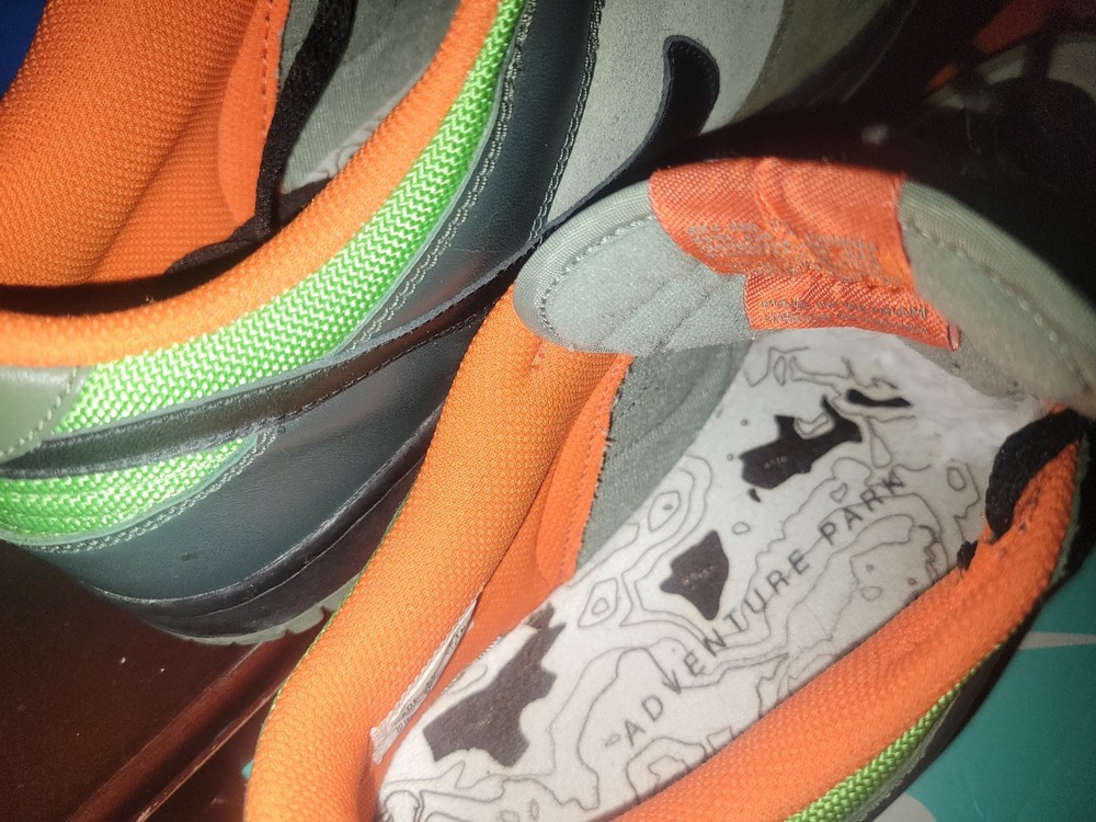 Rare 06 NIKE Adventure Park Dunks