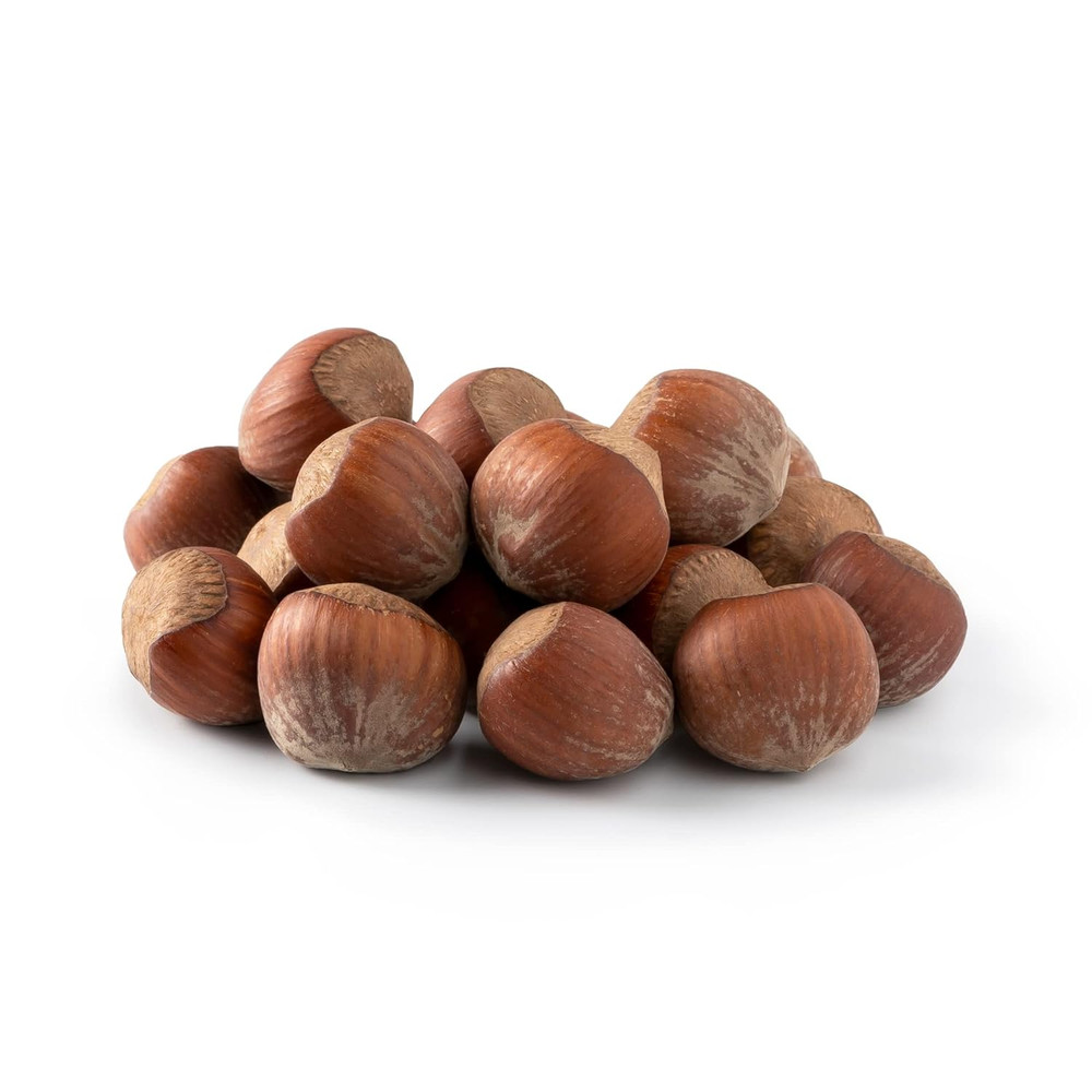 Oregon Hazelnuts in Shell Whole Raw Unsalted