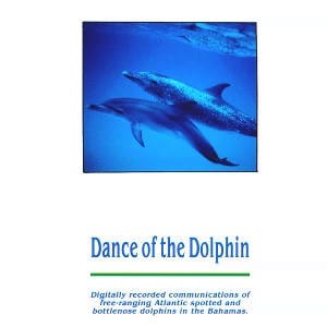 Dance of the Dolphin: Wild Dolphins of the Bahamas (Outlet)