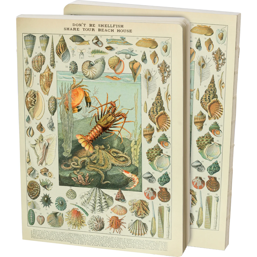 Notebook - Don't Be Shellfish