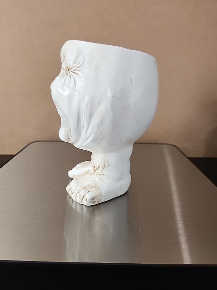 Funny Face Planter
