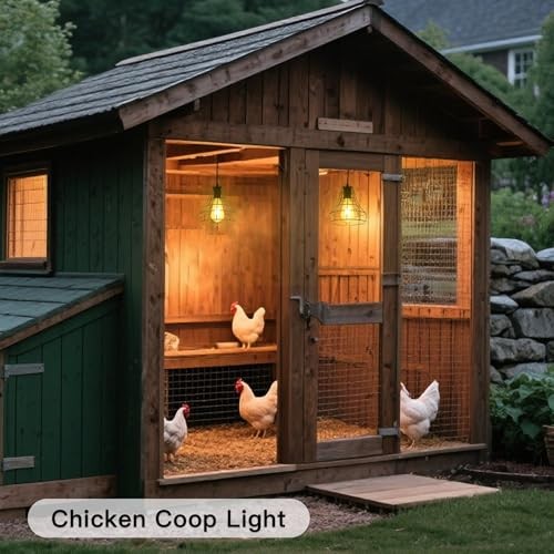 Solar Pendant Lights, Solar Powered Shed Light with Pull Cord and Remote Horn