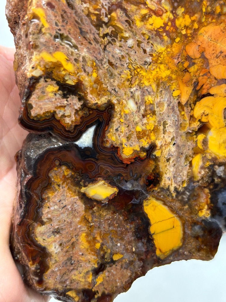 Turkish Agate Slab Cabbing Lapidary Collecting Combo Ship Avail