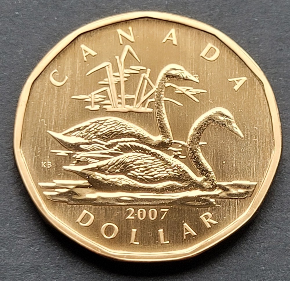 ***  CANADA   LOONIE  2007  ***  SPECIMEN  ***  TRUMPETER  SWAN  ***
