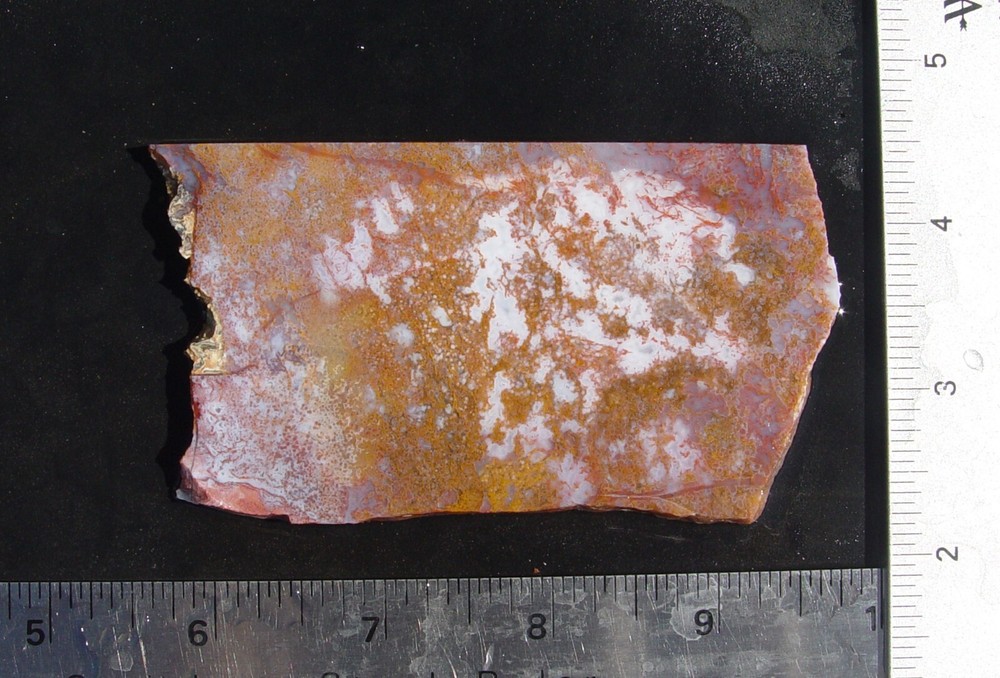 Calico Moss Agate    Lapidary Slab                   T722