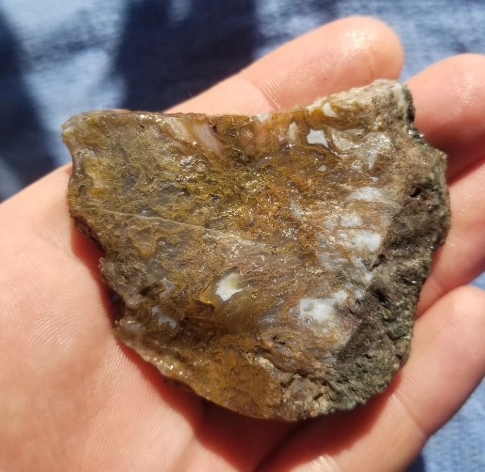 Great Multicolor Moss Plume Agate 7 Slab Lot 230g Various Specimens Translucent