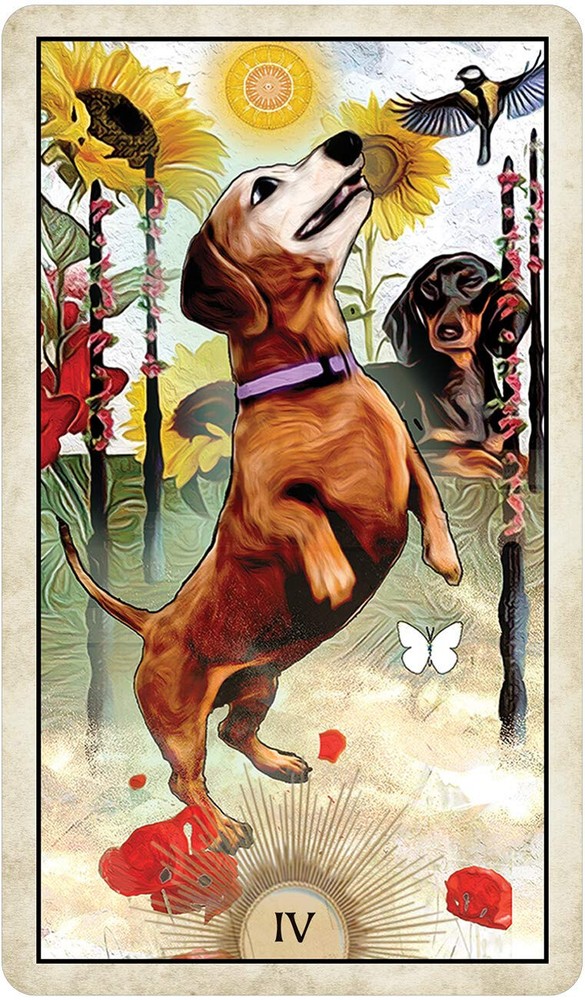 Wise Dog Tarot Card Deck!