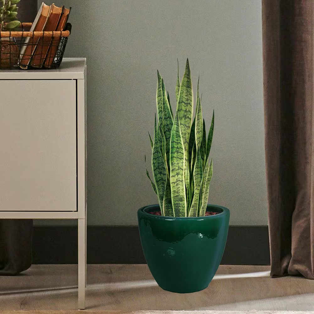 14.5 In. Resort High-Fired Glazed Ceramic Planter-Dark Green