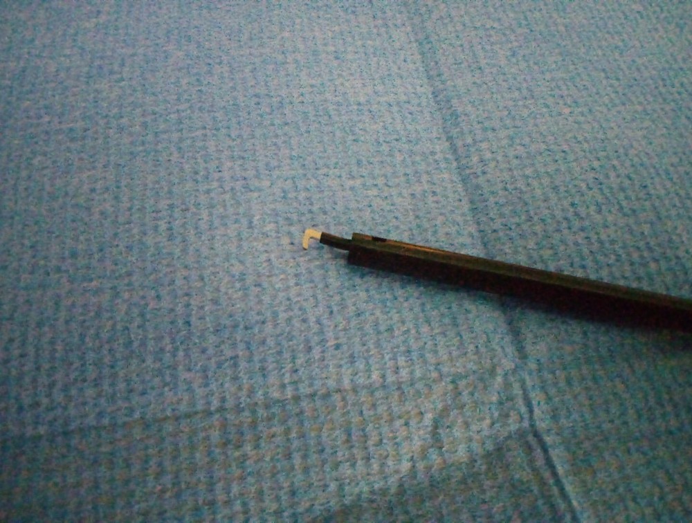 Monopolar Electrode 5mm L Hook Type Lap Surgical Instruments