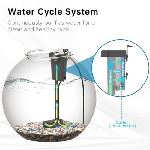 3-Gallon Fish Tank, Aquarium Starter Kit Includes Power Filter, LED Light with