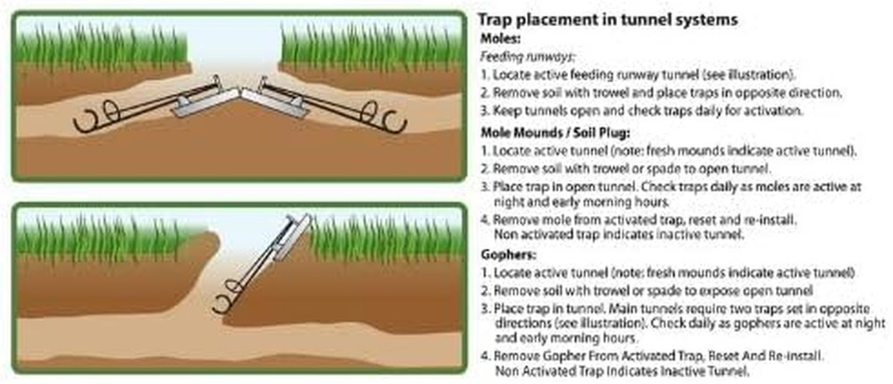 5005 Gopher Traps