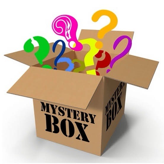 Mystery Boxes (5-10 items) Random Categories and Items All New