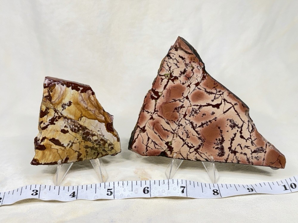 Dead Camel Jasper Slab Set, Lot#384
