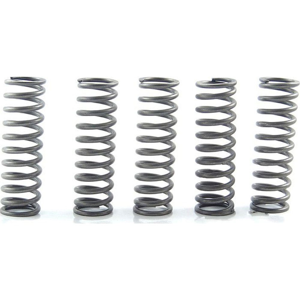 EBC CSK Clutch Spring Kit - CSK169