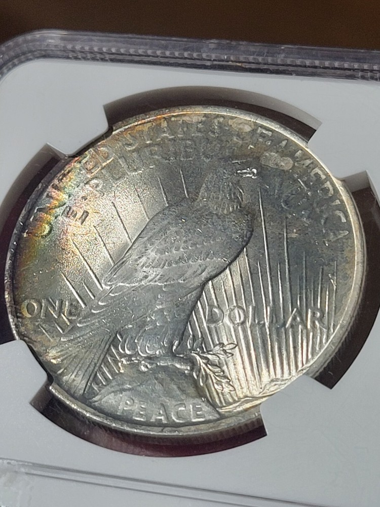 1922 $1 Peace Dollar MS65 NGC Toned