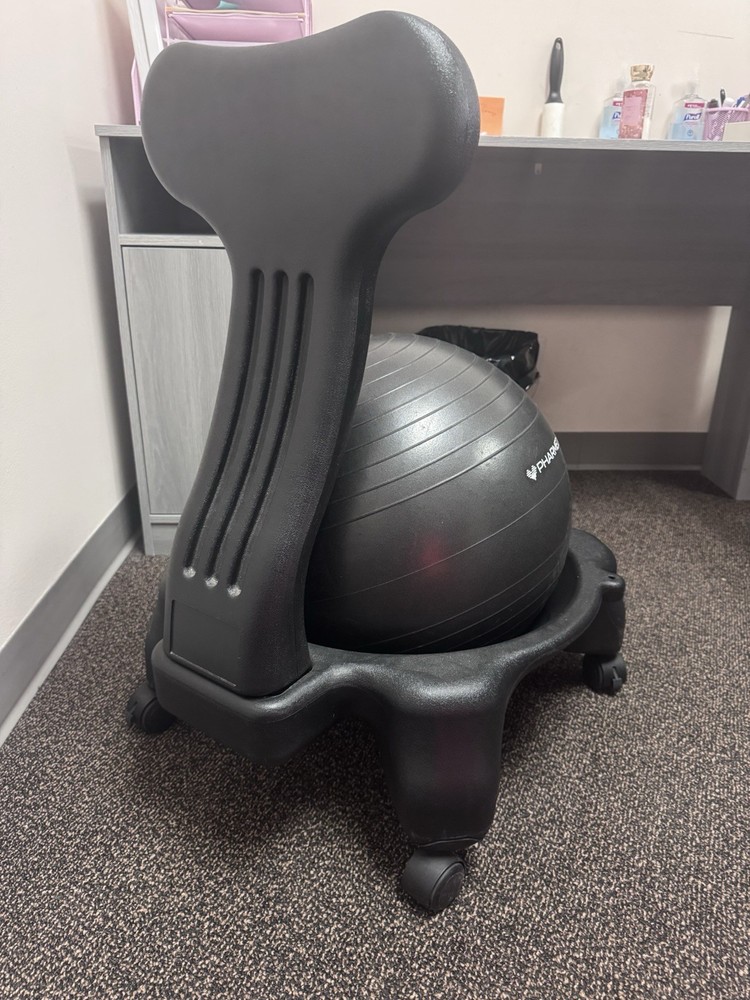 PharMeDoc Exercise Ball Chair with Back Support for Home and Office
