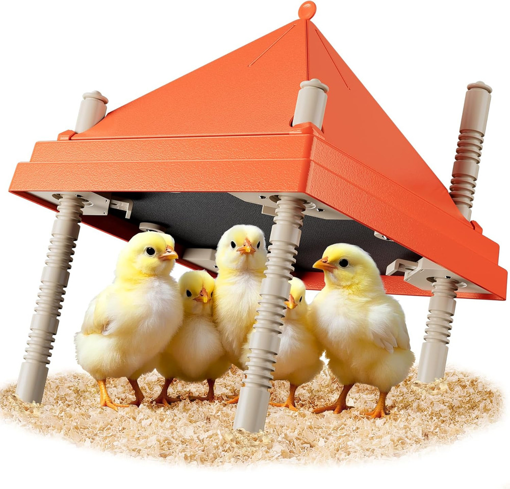 Chick Brooder Heating Plate anti Stand Cone 10 X 10 Brooder Heater Chicks