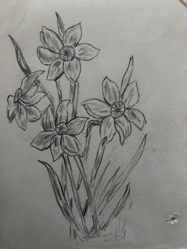 Small Victorian flower sketch