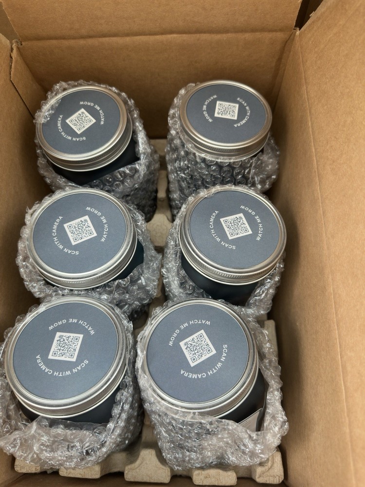 Modern Hydroponic Basil Grow Kit 6 Glass Jars
