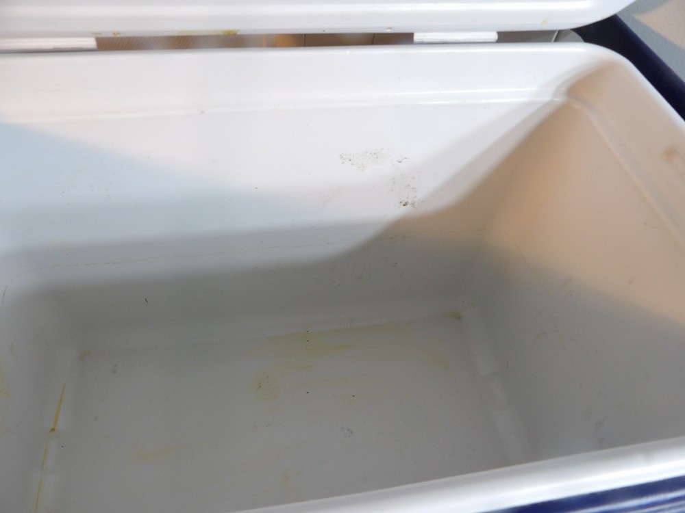 Coleman 6277/6278 Camping Cooler