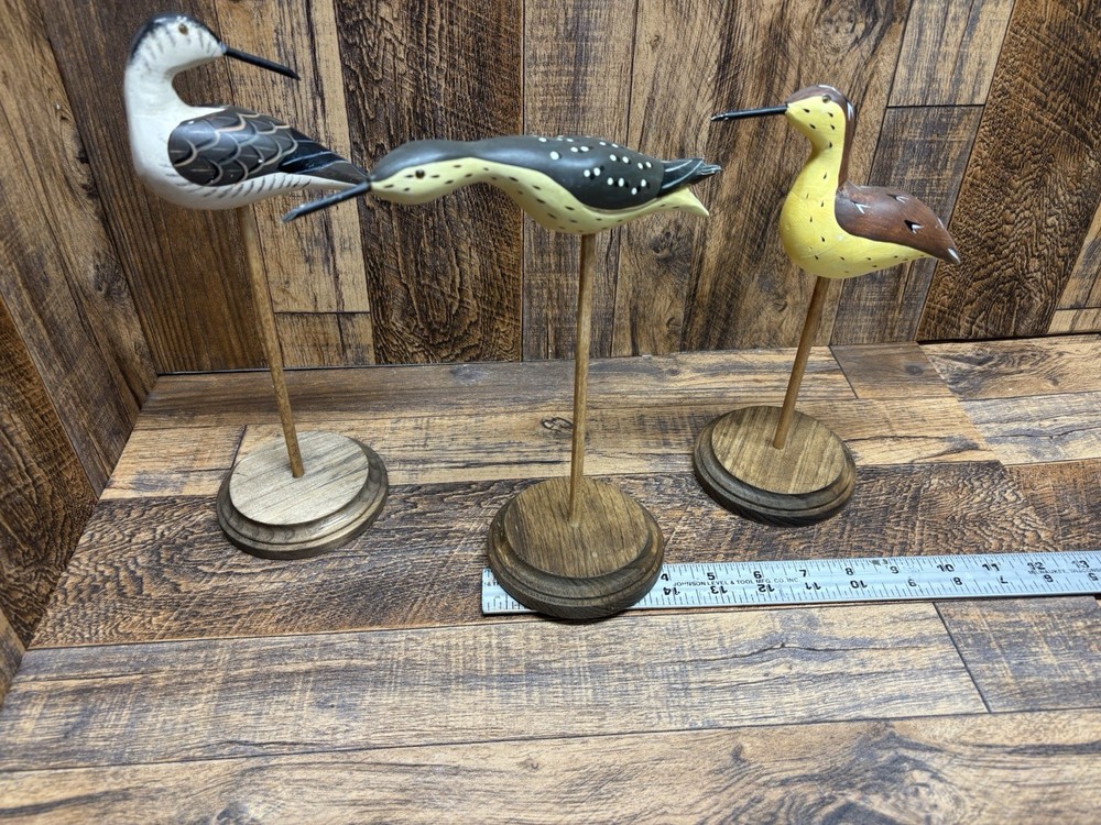 3-Circle Shorebird Stands. Group 29#