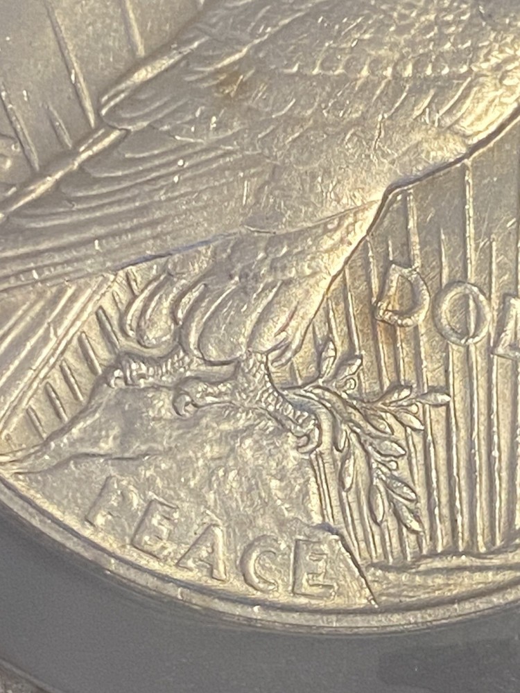 1921 Silver Peace $1 Dollar ~ ANACS Graded MS 60