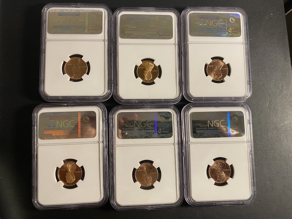 17 Lincoln Cent NGC Collection 2009-2010 Diff. Mint Marks/Different Grades/Type