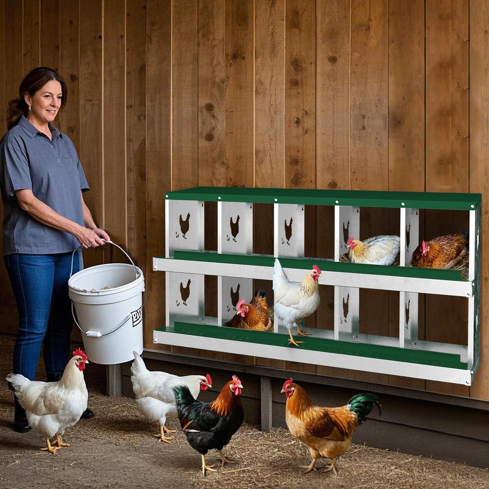 10 Holes Chicken Nesting Box, Metal Chicken Nesting Boxes, without Bracket Legs