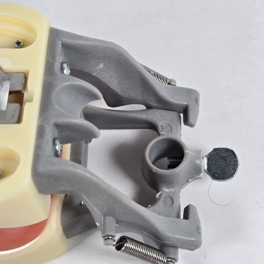 Student Dental Teeth Form, DM-200G, UN Branded