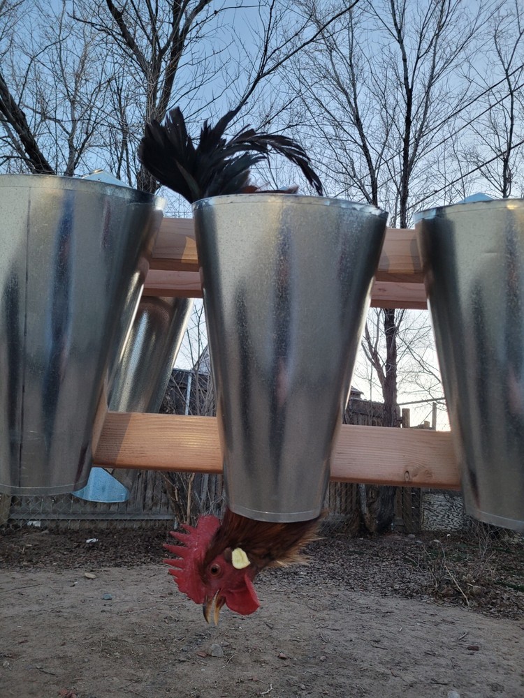 M/L Poultry Kill Processing Restraining Cone Funnel KILL CONE FREE SHIPPING