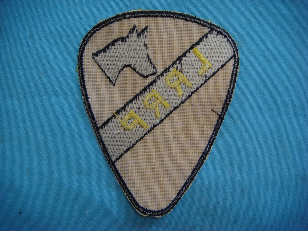 VIETNAM WAR PATCH, US 1st CAVALRY DIVISION LRRP