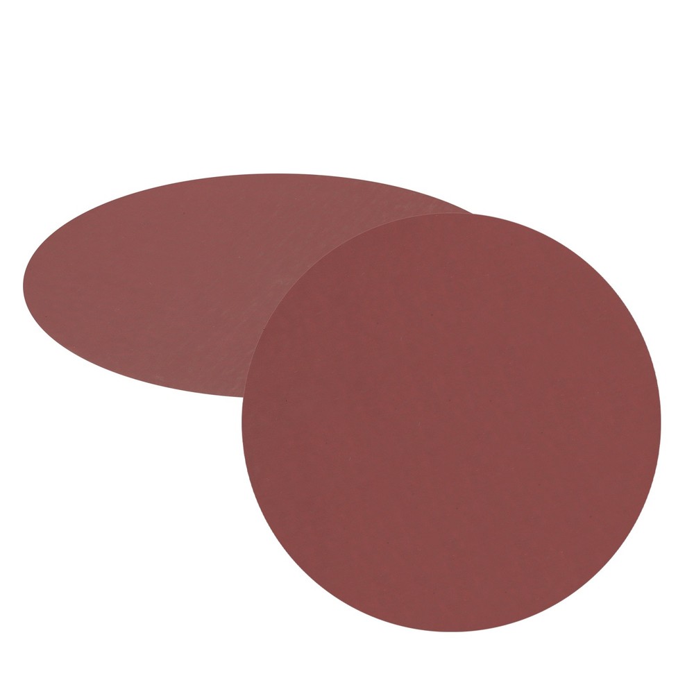 2pcs 10" Hook and Loop Sanding Discs 2000 Grits Aluminum Oxide Sandpapers