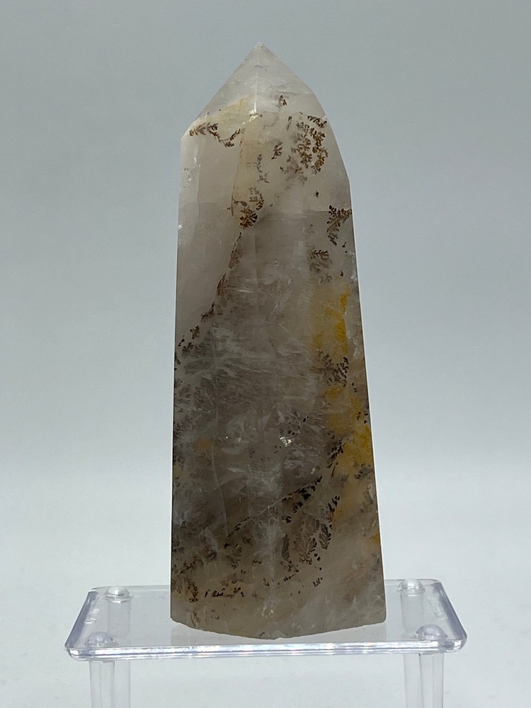 Dendritic Quartz H