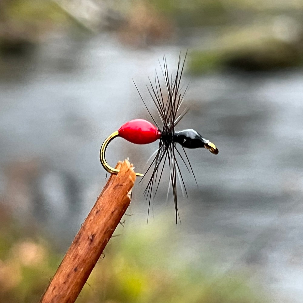 Black Flying Ant | Size #12