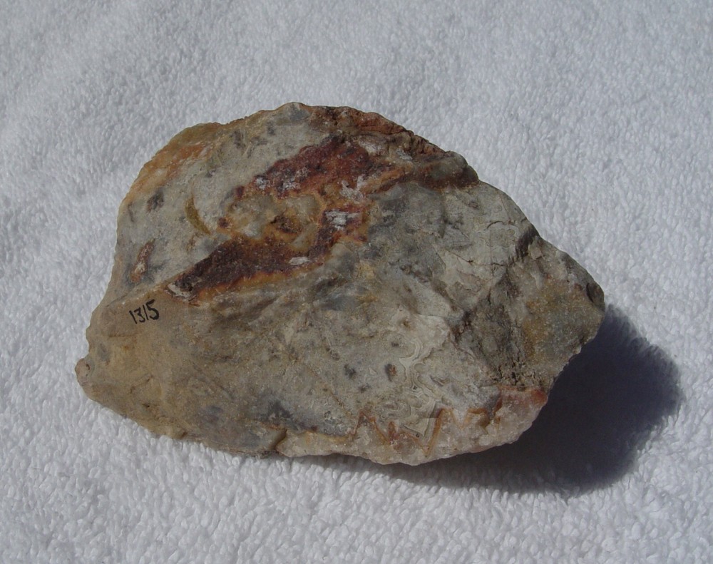 Lace Agate Small Lapidary Rough 1315