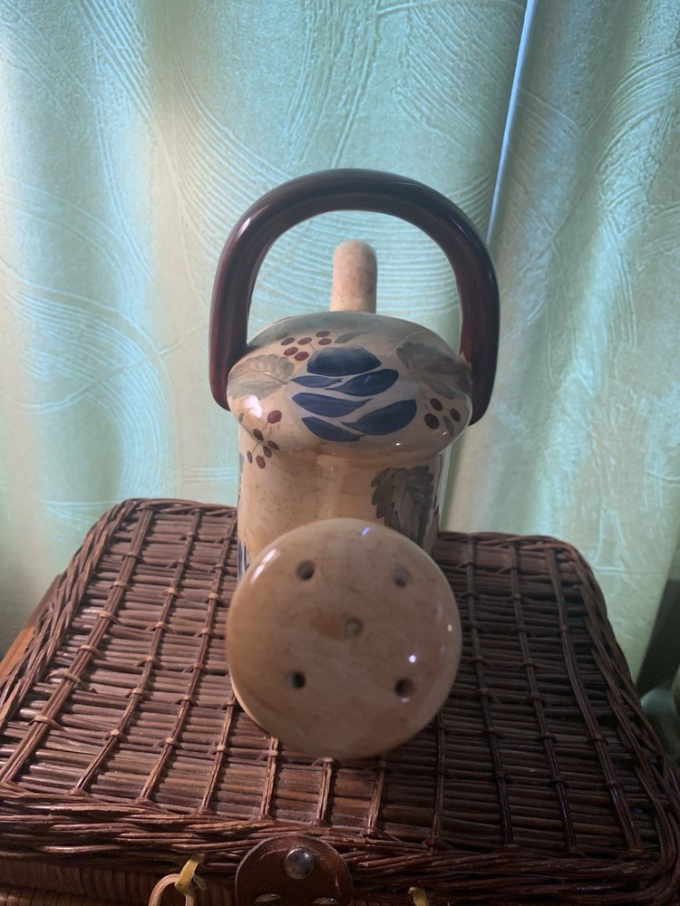 Style-Eyes By Baum Bros Ceramic Watering Can 💦💧