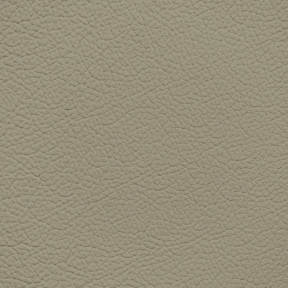 Audi Sand/Samt Beige Leather Dye