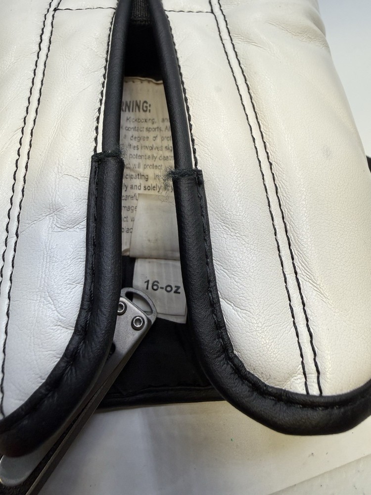 Title Boxing Gloves 16 Oz