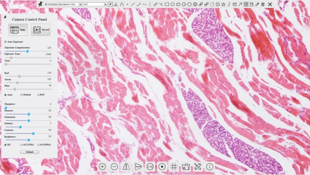 High Definition 1080P HDMI Microscope Camera, 60fps