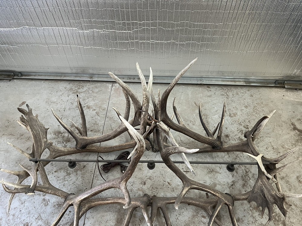 Real Antler Pool Table Light