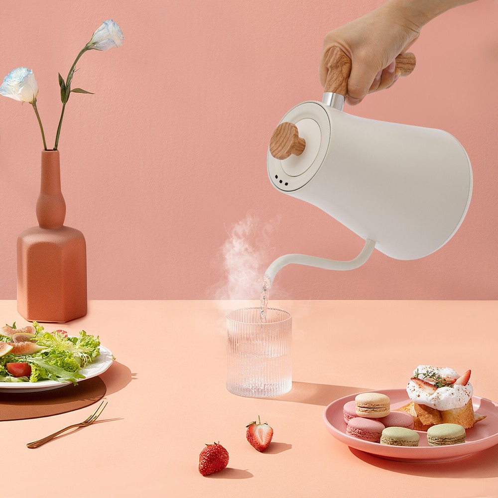 Tabletop Electric Gooseneck Kettle, 1200W with Adjustable Temp & Memory Function