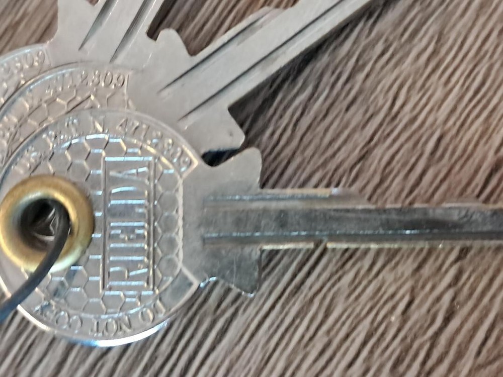 RIELDA 400 Re-programable High Security Cam Lock With 3 Keys