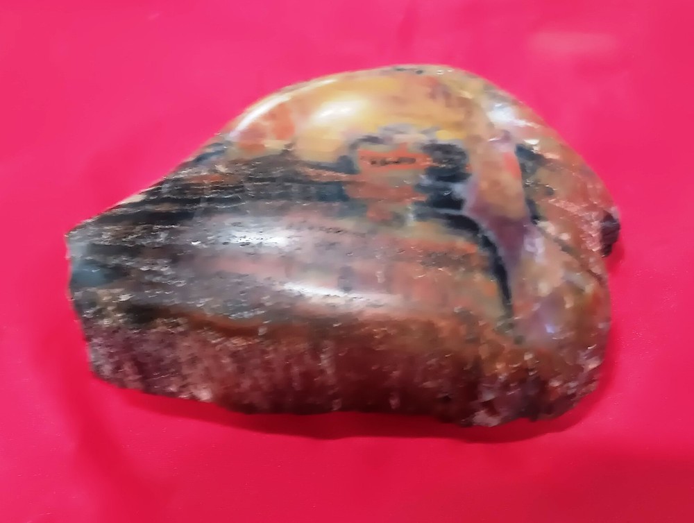 Opalized Petrified Wood Amazing Slab