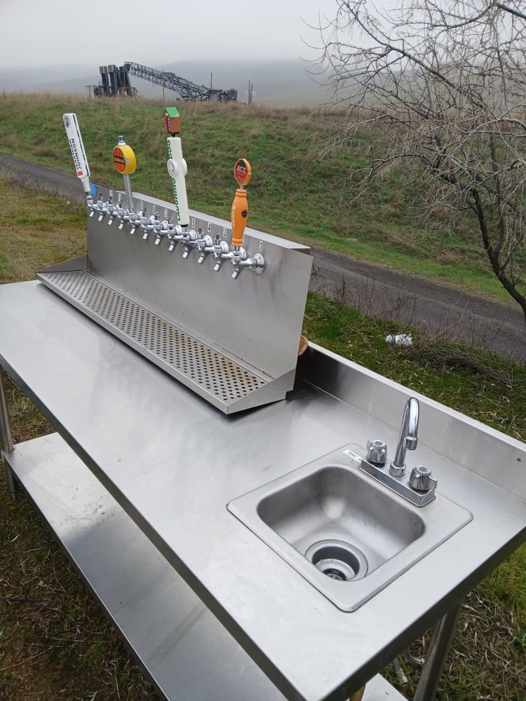 Stainless Steel Draft Beer Tap System (Multi-Tap Tower Panel)