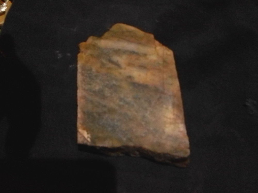 Rectangular Petrified Wood Fossil Slab