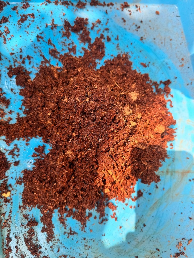 RootEarth Coco Peat Block 2.2lb Expands 10lb Low EC Washed Coir Growing Medium