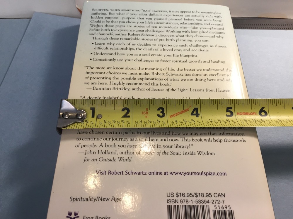 The Soul's Plan by Robert Schwartz